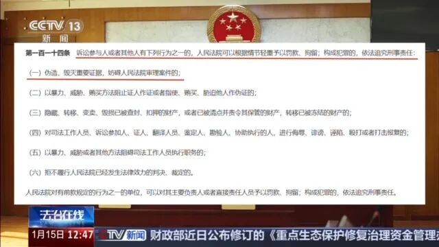 律师用AI生成虚假案例,裁判观点完美支持其诉请,被法院识穿!他该承担何种责任? 律师用AI生成虚假案例,裁判观点完美支持其诉请,被法院识穿!他该承担何种责任?