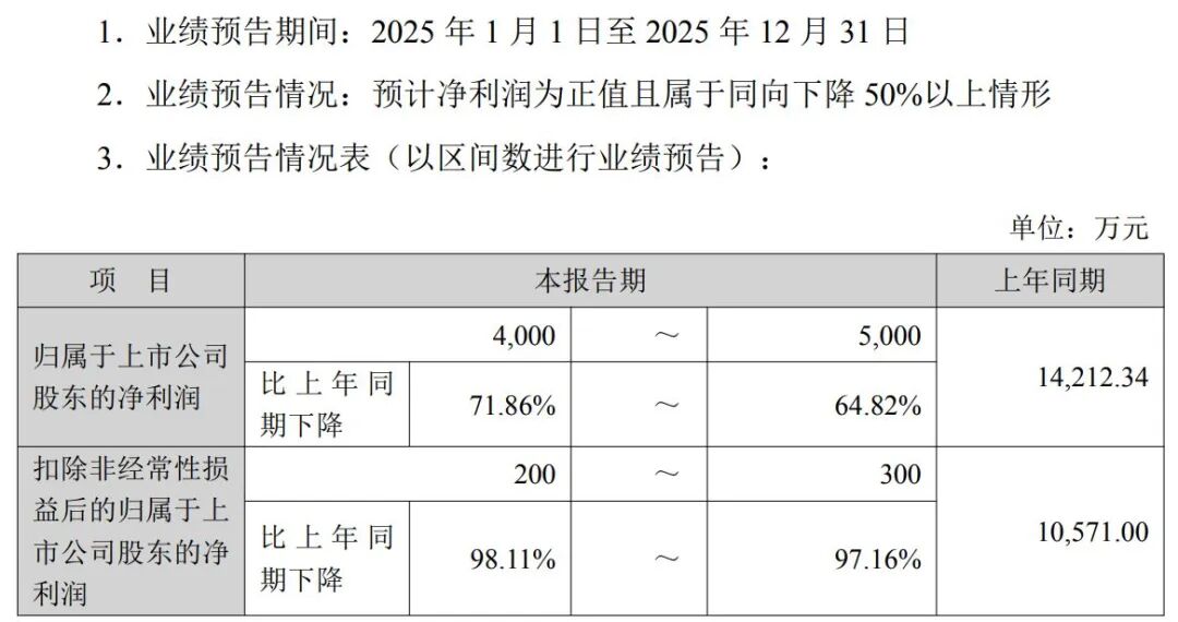 高额关税+“双反”调查,知名车企去年美国市场收入锐减近80%,净利预计降超